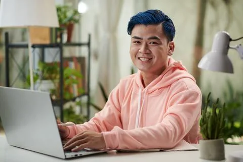 Developer Working from Home Foto stock
