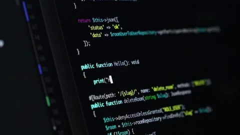 Developer writing a Hello World function in a development environment Stock Footage 302392199