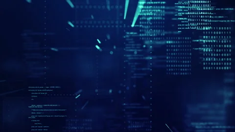 Developer2 Stock Footage 313857234