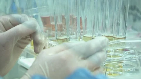Developers medicines and vaccines against COVID-19 Stock Footage 146855337