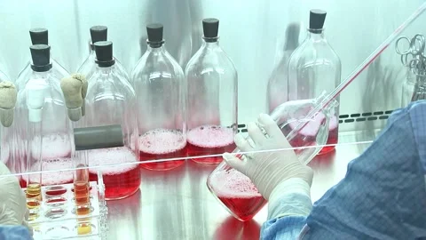 Developers medicines and vaccines against COVID-19 Stock Footage 146855384