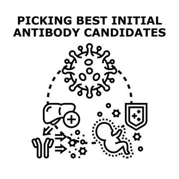 Developing antibody candidates for immunity and health protection Stock Illustration