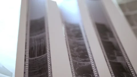 Developing black and white negatives Video stock 159360757