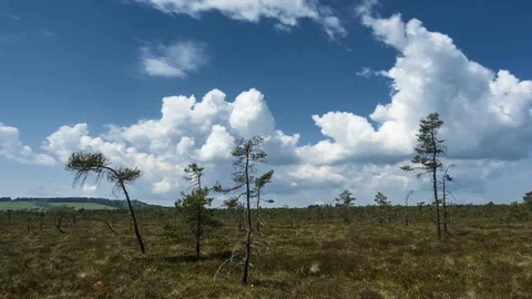 Developing clouds over the black moor Vídeo Stock 90368421