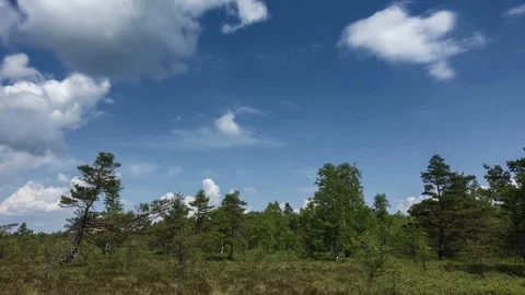 Developing clouds over the black moor Vídeo Stock 90799488