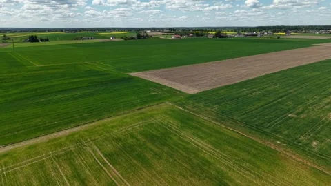 Developing Crop Field – Parallax Right Flight Across Multi‑Field Boundary 스톡 동영상 334580096