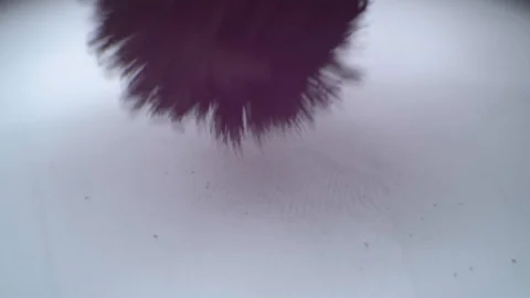 Developing fingerprints CSI magnetic brush 4K Stock Footage 86432359