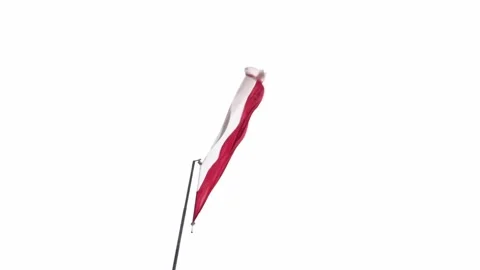 The developing flag of Poland on a gray background. 스톡 동영상 159790377