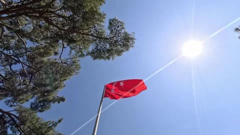 The developing flag of Turkey against the sky Stock Footage 275137816