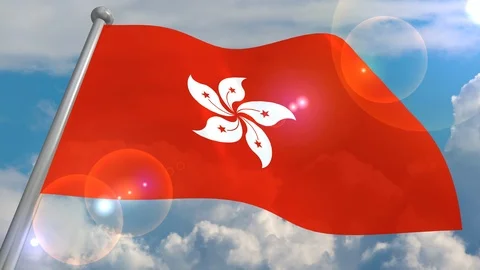 Developing the flag in the wind. Stock Footage 98491631