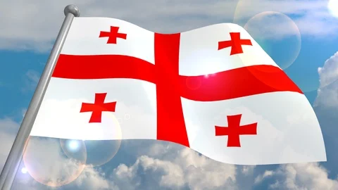 Developing the flag in the wind. Stock Footage 98492577