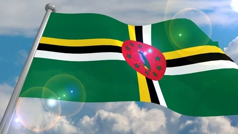 Developing the flag in the wind. Stock Footage 103610992