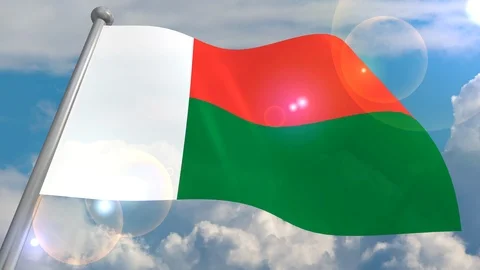 Developing the flag in the wind. Stock Footage 106676293