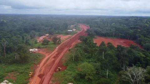 Developing Infrastructure: Road Construction Through a Dense Forest Landscape Stock Footage 315254619