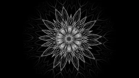 Developing mandala pattern of a beautiful flower - seamless looping (FULL HD) Video stock 92945356