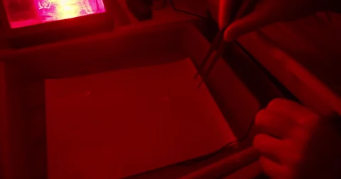 Developing photographic print in darkroom tray under red safelight Stock Footage 328974062