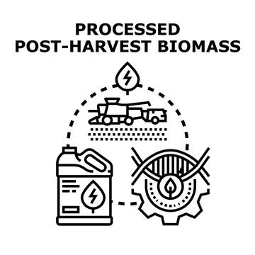 Developing post harvest biomass processing technology for bioenergy productio Stock Illustration