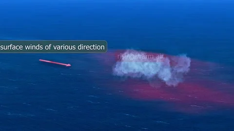 Developing process of tropical cyclone Video stock 320655508