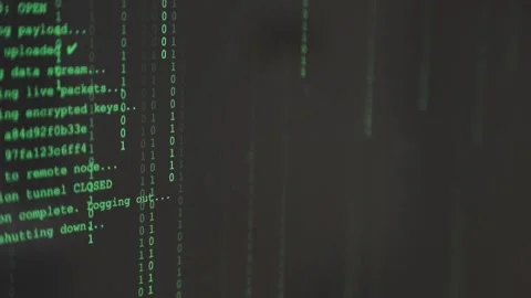 Developing programmer Team Development Website design and coding technologi.. Stock Footage 309836948