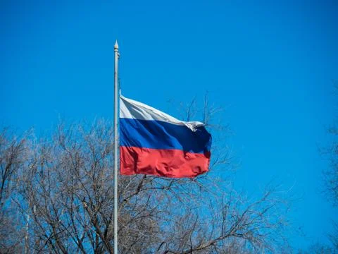 A developing Russian flag on a flagpole against a background of autumn trees Stock Photos