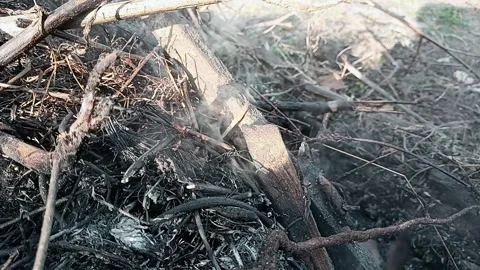 Developing smoke by the wind in different directions. Smoldering old branches. Stock Footage 292760610
