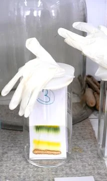 Developing of thin Layer Chromatography paper in laboratory Stock Photos