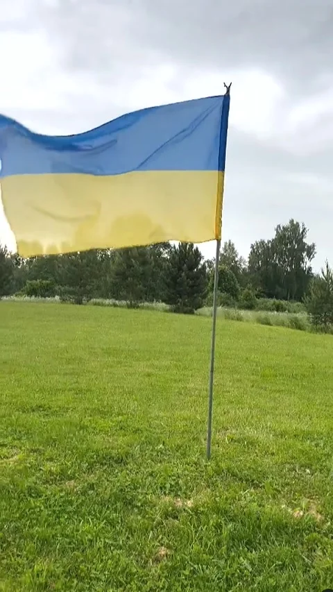 Developing Ukrainian flag on a background of green plants Stock Footage 277395297