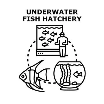 Developing underwater fish hatchery and aquaculture business Stock Illustration