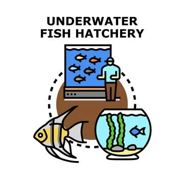 Developing underwater fish hatchery and aquaculture business Stock Illustration