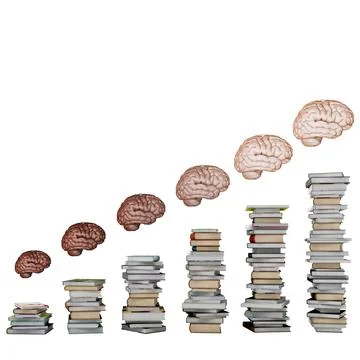 Development of brain Stock Photos