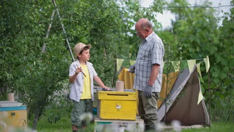 Development of children, elderly beekeeper and his grandson paint beehive with Stock Footage 158097880