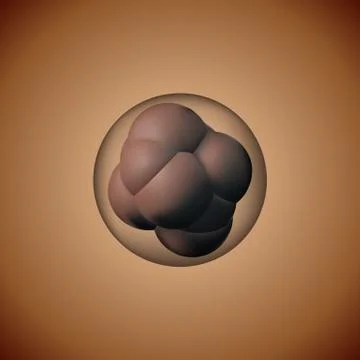 The development of the egg. Stock Illustration