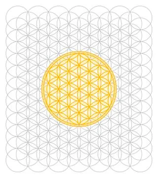 Development of the Flower of Life Stock Illustration
