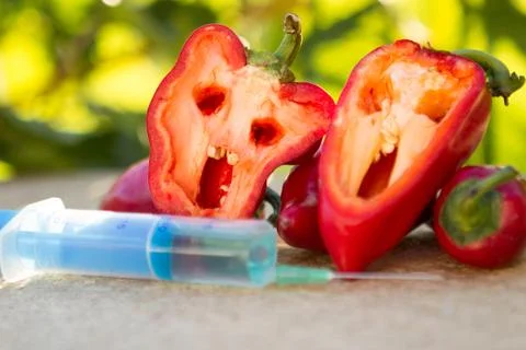 Development of GMO pepper Stock Photos