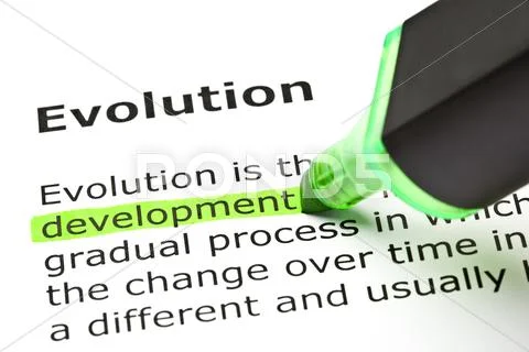 'development' highlighted, under 'evolution' Stock Photos
