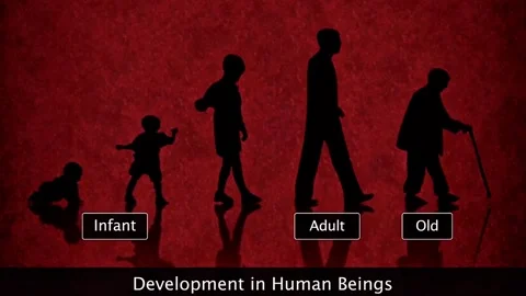 Development in Human beings Stock Footage 322542040