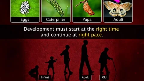 Development in Humans and animals Stock Footage 322542195