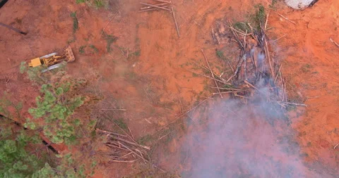 The development of a new plot of land for new construction using heavy equipment Stock Footage 206119672