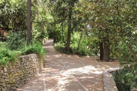 Development of park paths. Stock Photos