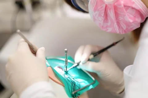 Development of practical skills in dentistry on a mannequin in a classroom Stock Photos