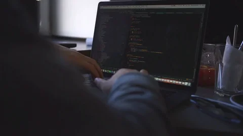 Development, python Stock Footage 104516148