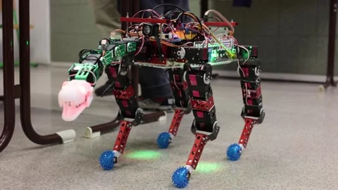 Development of robots and robotic technology Stock Footage 286043052