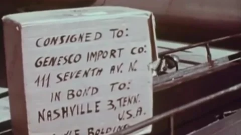 Development of the structures of the US Treasury (48) Video stock 237684623