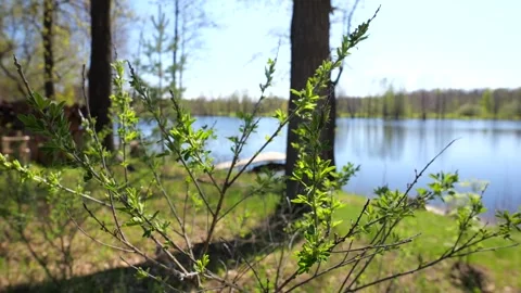 Development of the territory of the fishing lake. Spring nature. Family vacation Stock Footage 274413904