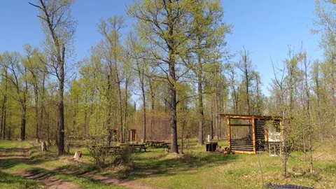 Development of the territory of the fishing lake. Spring nature. Family vacation Stock Footage 274413951