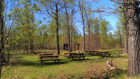 Development of the territory of the fishing lake. Spring nature. Family vacation Stock Footage 274414034