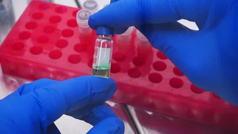 The development of a vaccine in the laboratory Stock Footage 241101376