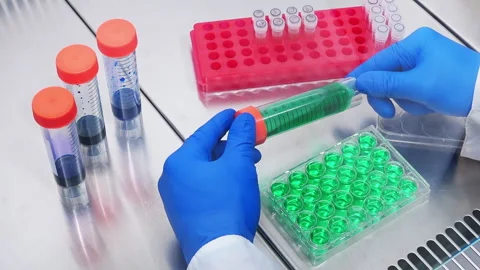 Development of a vaccine in a laboratory Stock Footage 241101396