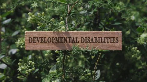 Developmental disabilities are written on the surface. Wooden man and medicin Stock Photos