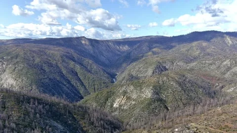 Devestation Caused By the North Complex Fire At Feather Falls 0105 Stock Footage 284778354